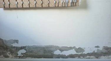 Umidade Ascendente